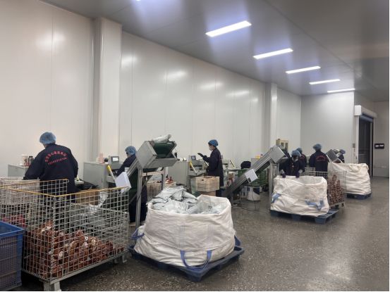 三十年老字号 玩转电商“卖”向全球 从档口到屏幕的品牌复兴之路